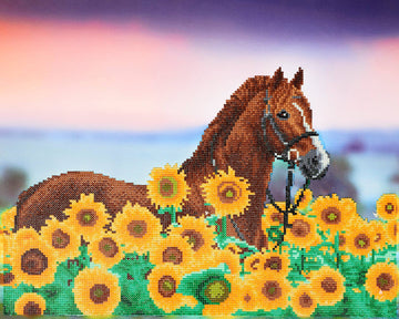 Diamond Arts-Sunflower Horse